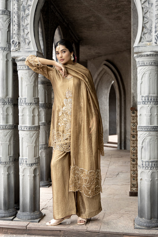 Pure tissue with hand work beautiful three piece set (C495)