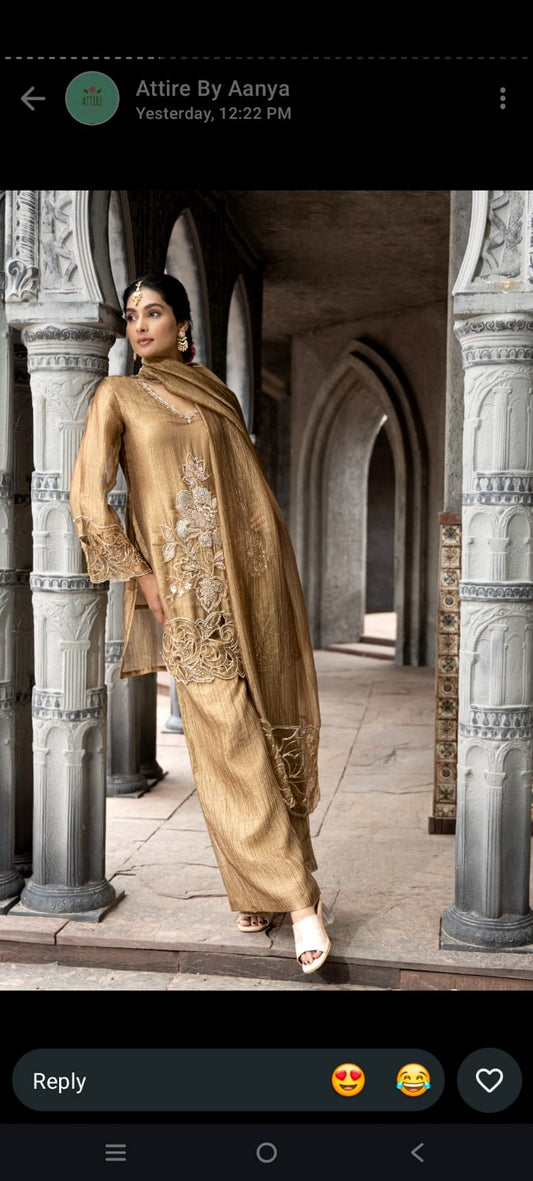 Pure tissue with hand work beautiful three piece set (C495)